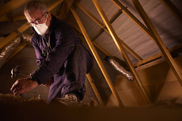 Best Spray Foam Insulation in Jennings, LA